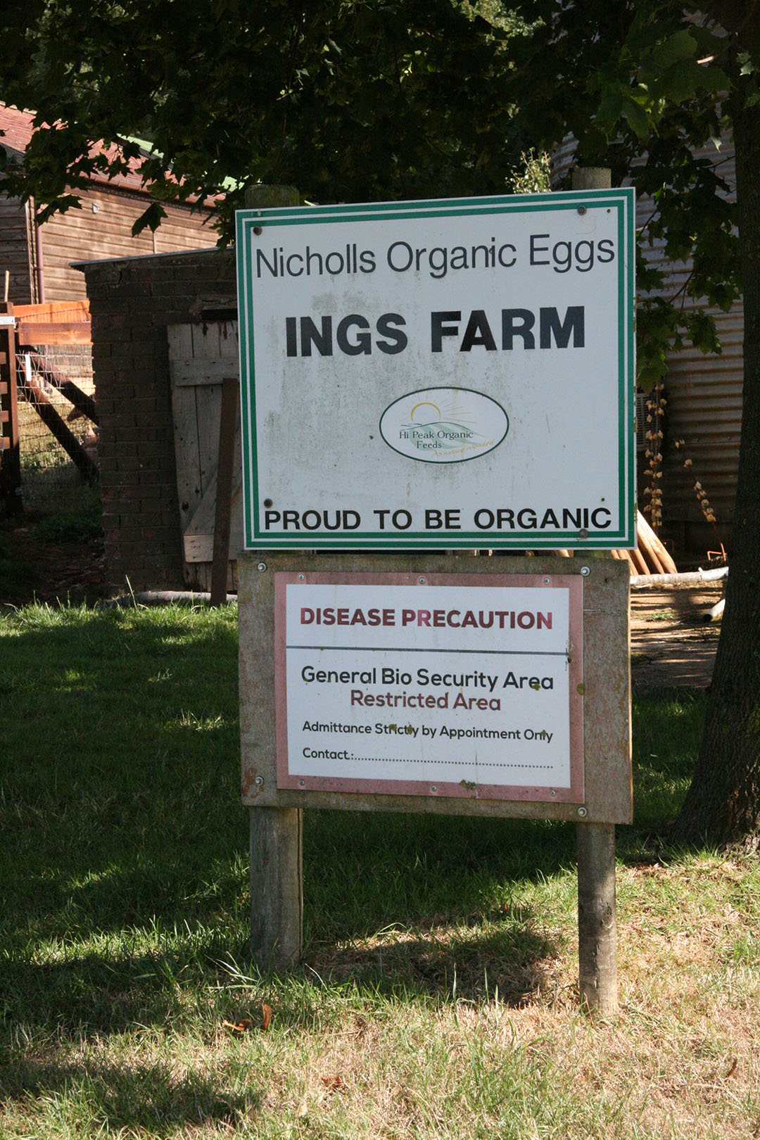 The Nicholls farm escaped most of the avian influenza prevention measures, but housing orders were in place for some time.