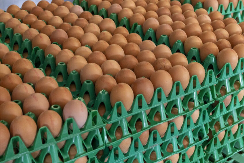 Consumers wanting a uniform, aesthetically pleasing eggs. Photo: Koos Groenewold