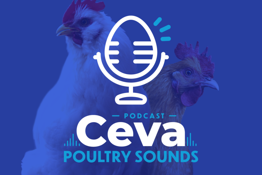 Podcast: Coming soon Ceva Poultry Sounds