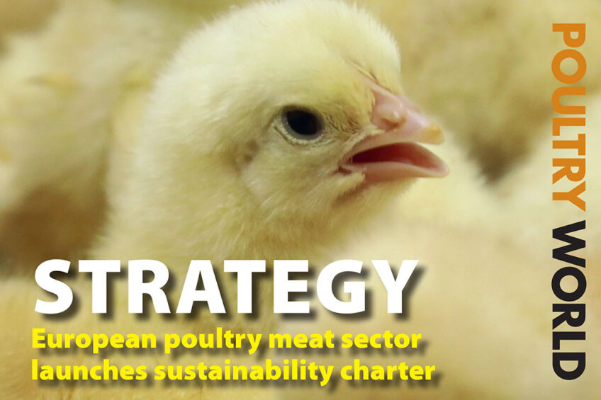 European poultry strategy highlighted in Poultry World