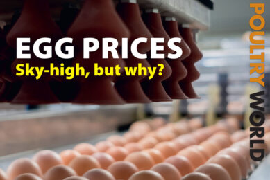 Soaring egg prices in the latest online edition of Poultry World