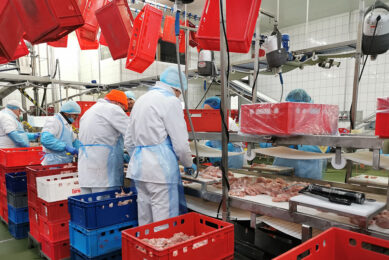 Russia aims to boost poultry export to the Middle East and to former Russian republics. Photo: Tovya Rabota