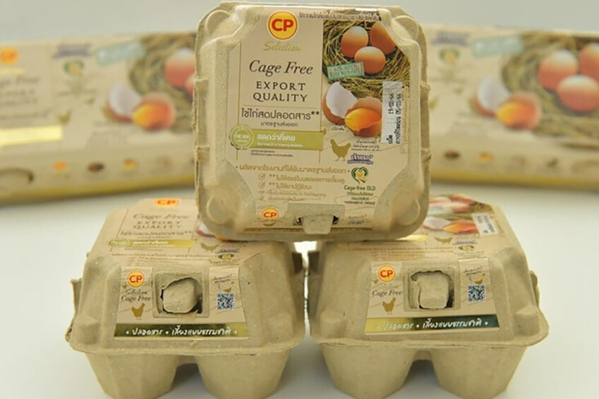 In 2022, CP Foods' egg production reduced greenhouse gas emissions by 617,000 tonnes of CO2 equivalent. Photo: CP Foods