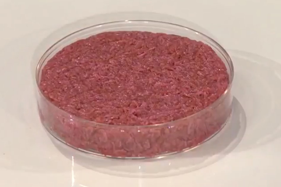 Italia, la prima a vietare carne e mangimi da laboratorio?