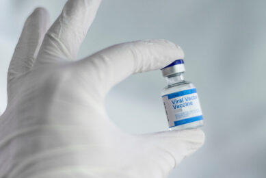 The USDA is testing 2 vaccines developed by its Agricultural Research Service, 1 each from Zoetis and another from Merck Animal Health. Photo: Spencer Davis