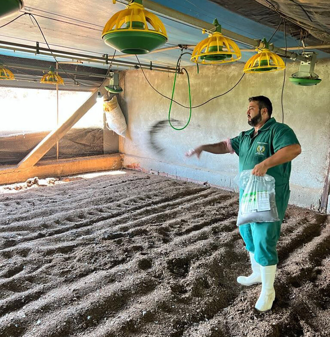 The product is applied in doses of 100-200 grams per m2 and 15-30 milliliters per m2 depending on the type and humidity of litter conditions before the birds' housing. Photo: Daniel Azevedo