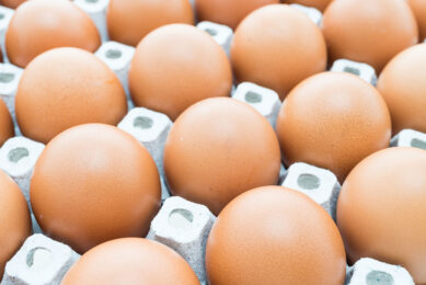 Retailers might struggle to source UK eggs for up to 18 months. Photo: Freepik
