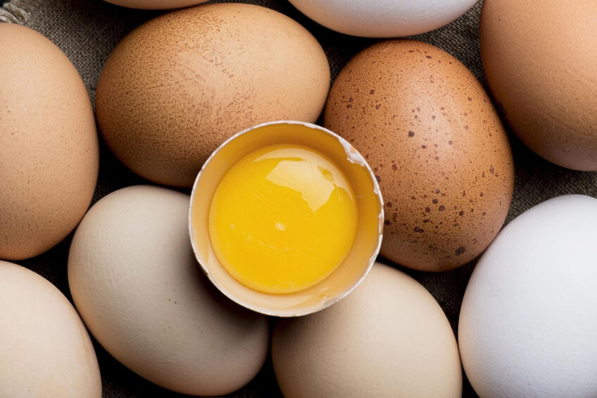 Entries for the new international award are open to any food product where the main focus is the egg. Photo: Freepik