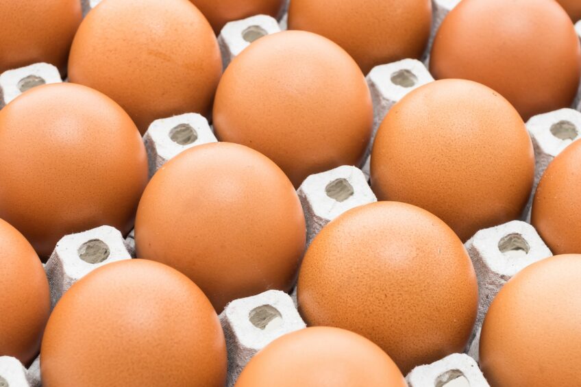 Calls for UK government to reconsider egg trade deal