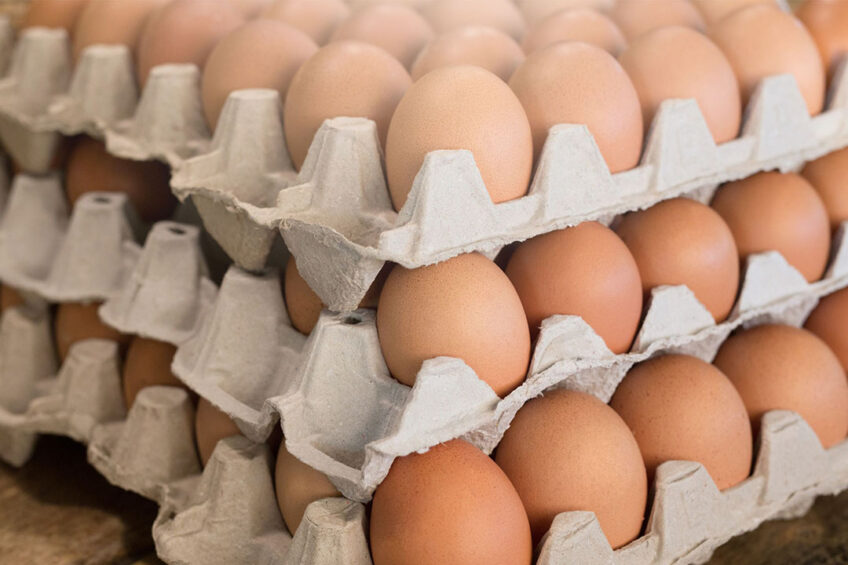 There is no other country in the European Union where so many egg products entered at dumping prices, according to Jānis Gaigals, chairman of the board of the Latvian Poultry Industry Association. Photo: Canva