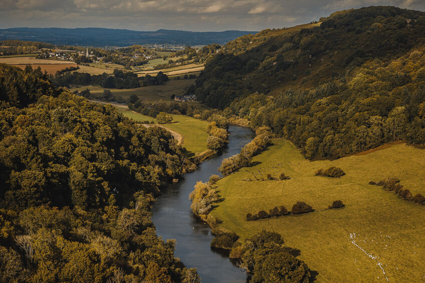 A quarter of the UK’s poultry are raised in the catchment of the River Wye. High phosphate levels in the river have been linked to waste from poultry farms. Photo: Rob Wicks