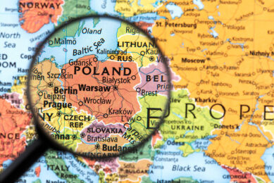 Poland consolidated its position as the EU's leading poultry exporter. Photo: Canva