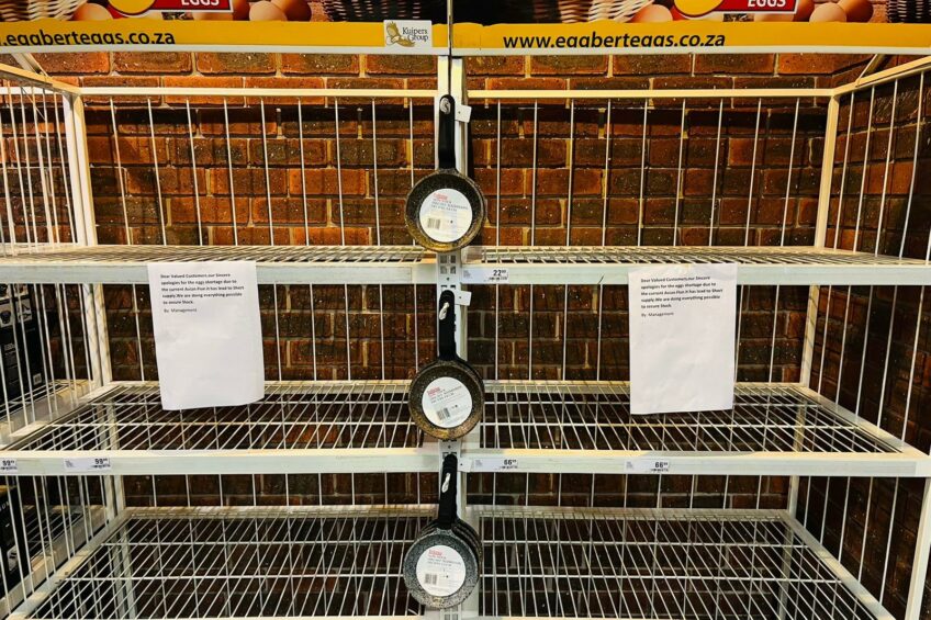 Egg shortage in S. Africa: Rationing and shortages