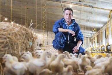 Jeremy Iles gains a huge amount of satisfaction from managing his Hubbard chickens. “They are a pleasure to walk through and you are proud to show them off at the end." Photo: NFU