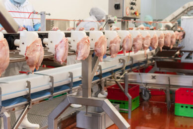 It is estimated that Russia's poultry industry suffered direct losses as a result of bird flu close to 4.5 billion roubles over the last 3 years. Photo: Canva