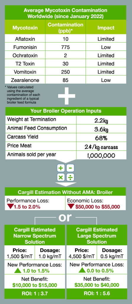 Figure 1- Impacts of average mycotoxin contamination on broilers and farm example.