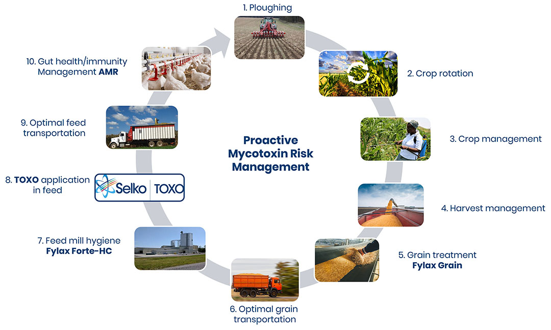 Figure 1- Selko's 10-point system for proactive mycotoxin risk management.
