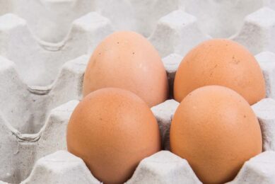 Cal-Maine Foods, primarily engaged in the production, grading, packing, marketing and sale of fresh shell eggs, has reported that its facilities in Kansas have tested positive for highly pathogenic avian influenza. Photo: Canva