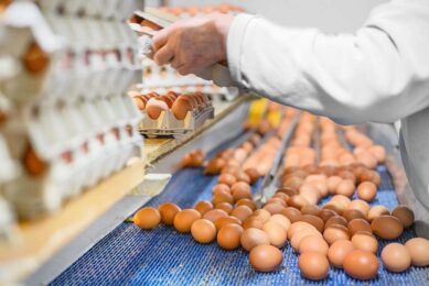 The FSA is in discussions with officials in Poland and the EU to ensure all necessary steps are taken to improve the safety of eggs and poultry imported from Poland. Photo: Canva