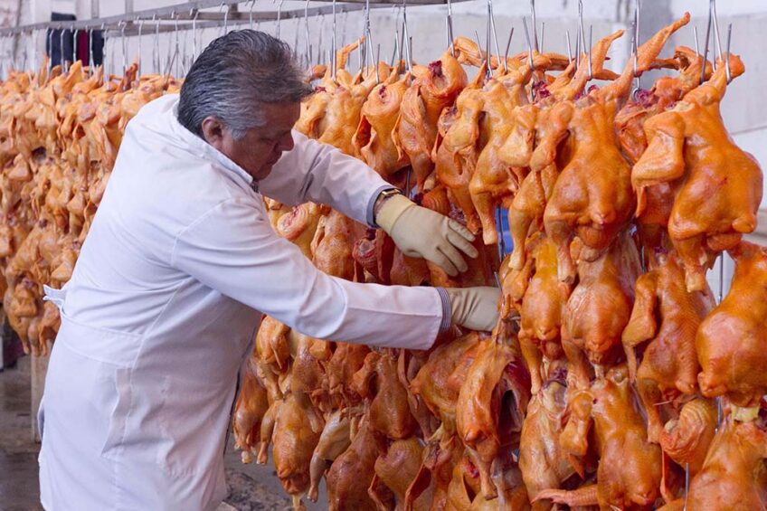 Reports show Mexico is the fifth-largest chicken meat consumer globally, while demand for chicken meat continues to rise. Photo: ANP