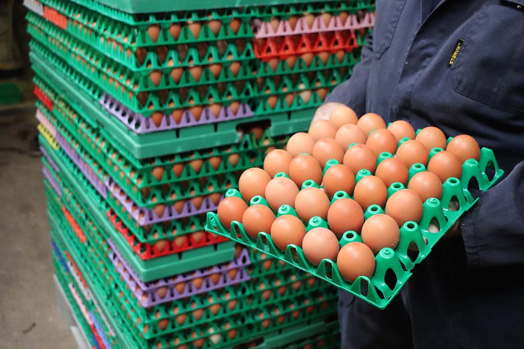 Producing organic eggs means residues are a constant worry. Red mite products need to be certified and safe.