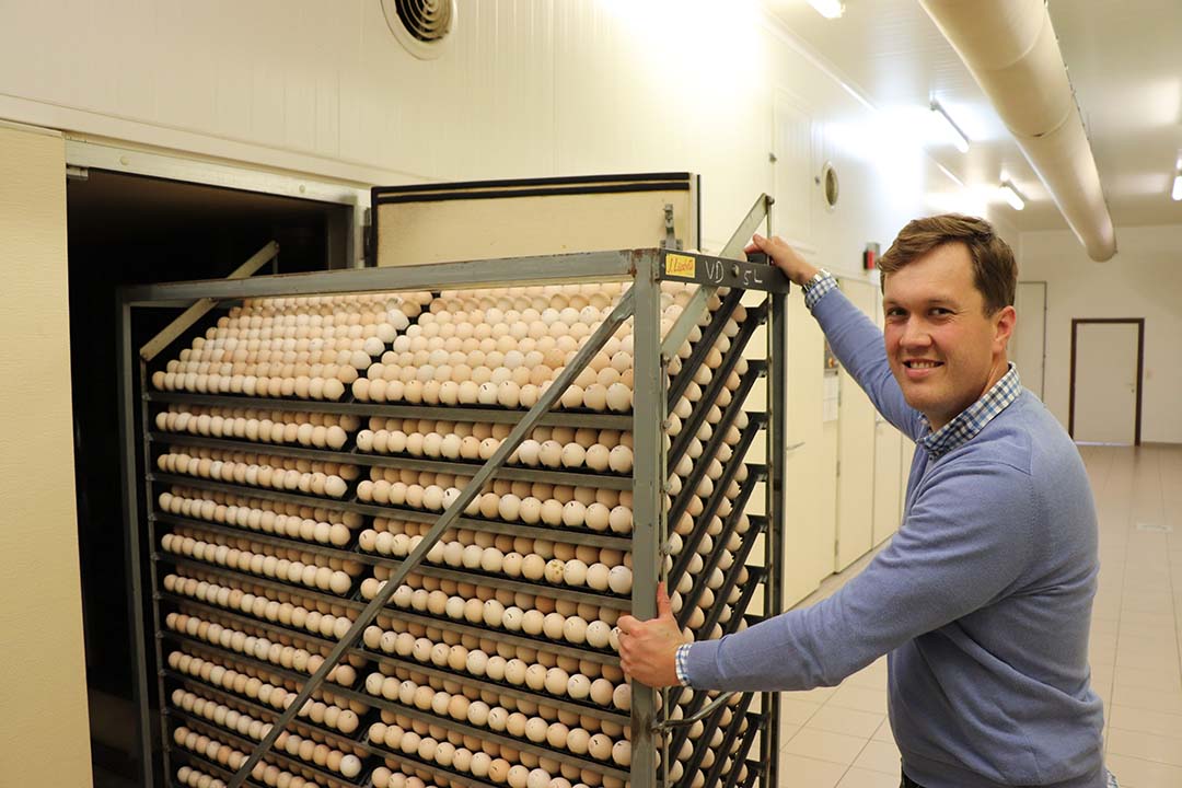 The hatchery has a capacity of 200,000 chicks per week.