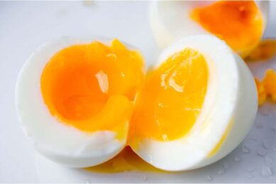 A diet rich in vitamin D will mean more vitamin D present in the eggs a hen lays. Photo: Canva