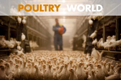 Artificial intelligence in the latest edition of Poultry World