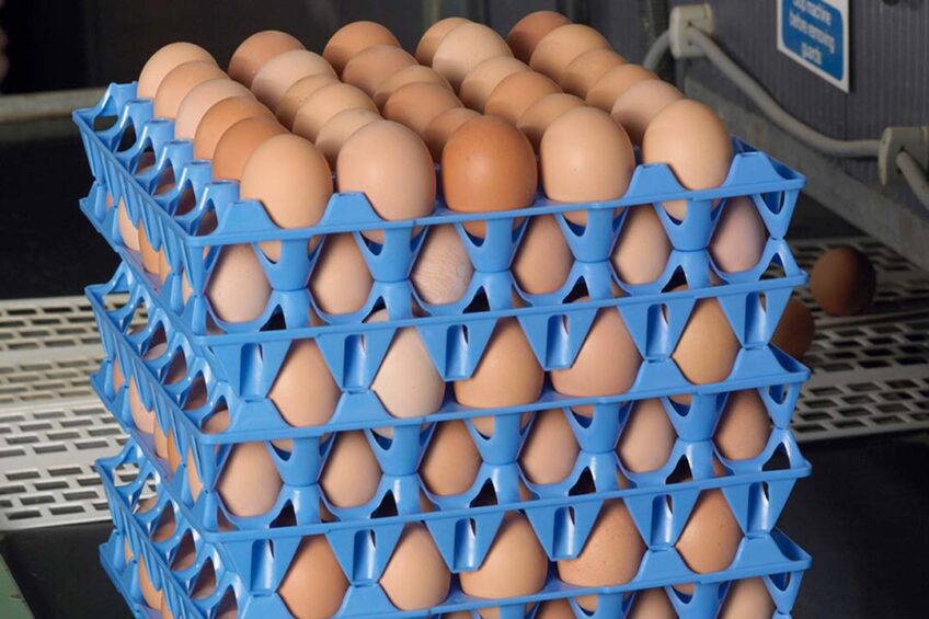 Will Cadbury, Noble Foods added value business lead: “Our investment will really help to accelerate that by providing more eggs for more people on more occasions.” Photo: Noble Foods