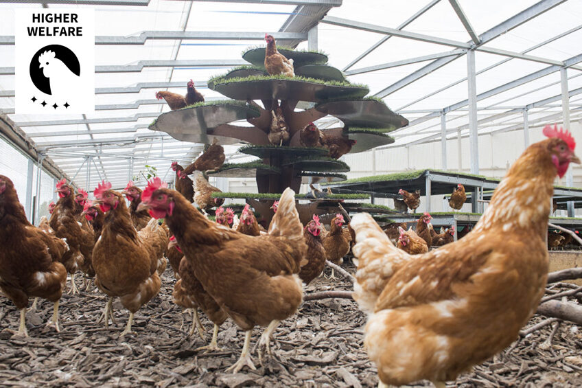 Higher welfare poultry production systems: a long-term outlook