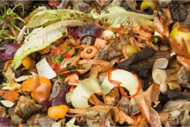 A study looked at the broad nutritional composition and toxicological considerations associated with incorporating food scraps into poultry feed. Photo: Canva