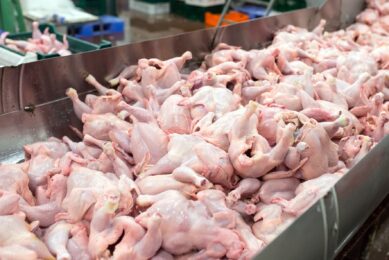 China increasingly relies on Russian poultry